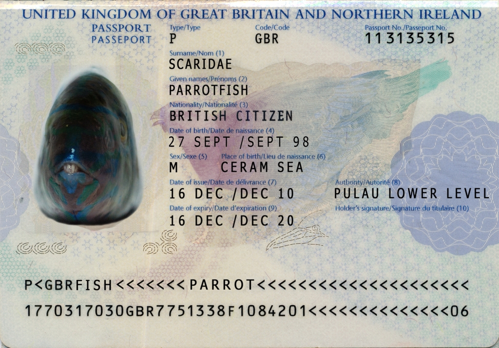 Fish Passports